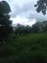 CHIRIQUI, BUGABA, SMALL FARM WITH HIGHWAY FRONTAGE IN LA ESTRELLA.