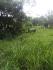 CHIRIQUI, BUGABA, SMALL FARM WITH HIGHWAY FRONTAGE IN LA ESTRELLA.