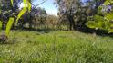 CHIRIQUI, BUGABA, SMALL FARM WITH HIGHWAY FRONTAGE IN LA ESTRELLA.