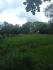 CHIRIQUI, BUGABA, SMALL FARM WITH HIGHWAY FRONTAGE IN LA ESTRELLA.