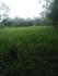 CHIRIQUI, BUGABA, SMALL FARM WITH HIGHWAY FRONTAGE IN LA ESTRELLA.