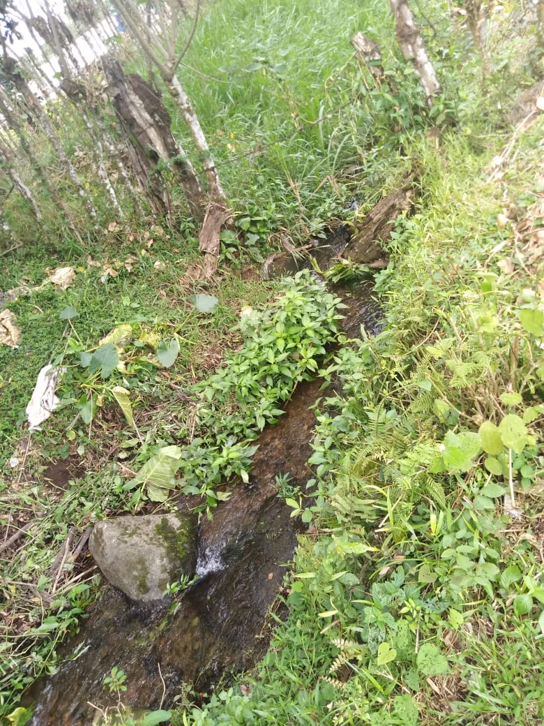 CHIRIQUI, BUGABA, SMALL FARM WITH HIGHWAY FRONTAGE IN LA ESTRELLA.