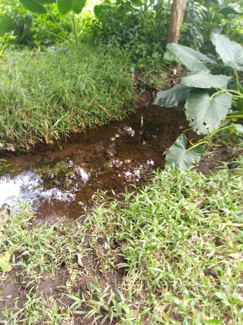 CHIRIQUI, BUGABA, SMALL FARM WITH HIGHWAY FRONTAGE IN LA ESTRELLA.