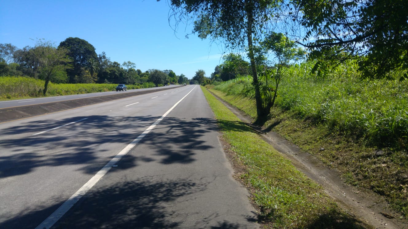 CHIRIQUI, BUGABA, SMALL FARM WITH HIGHWAY FRONTAGE IN LA ESTRELLA.