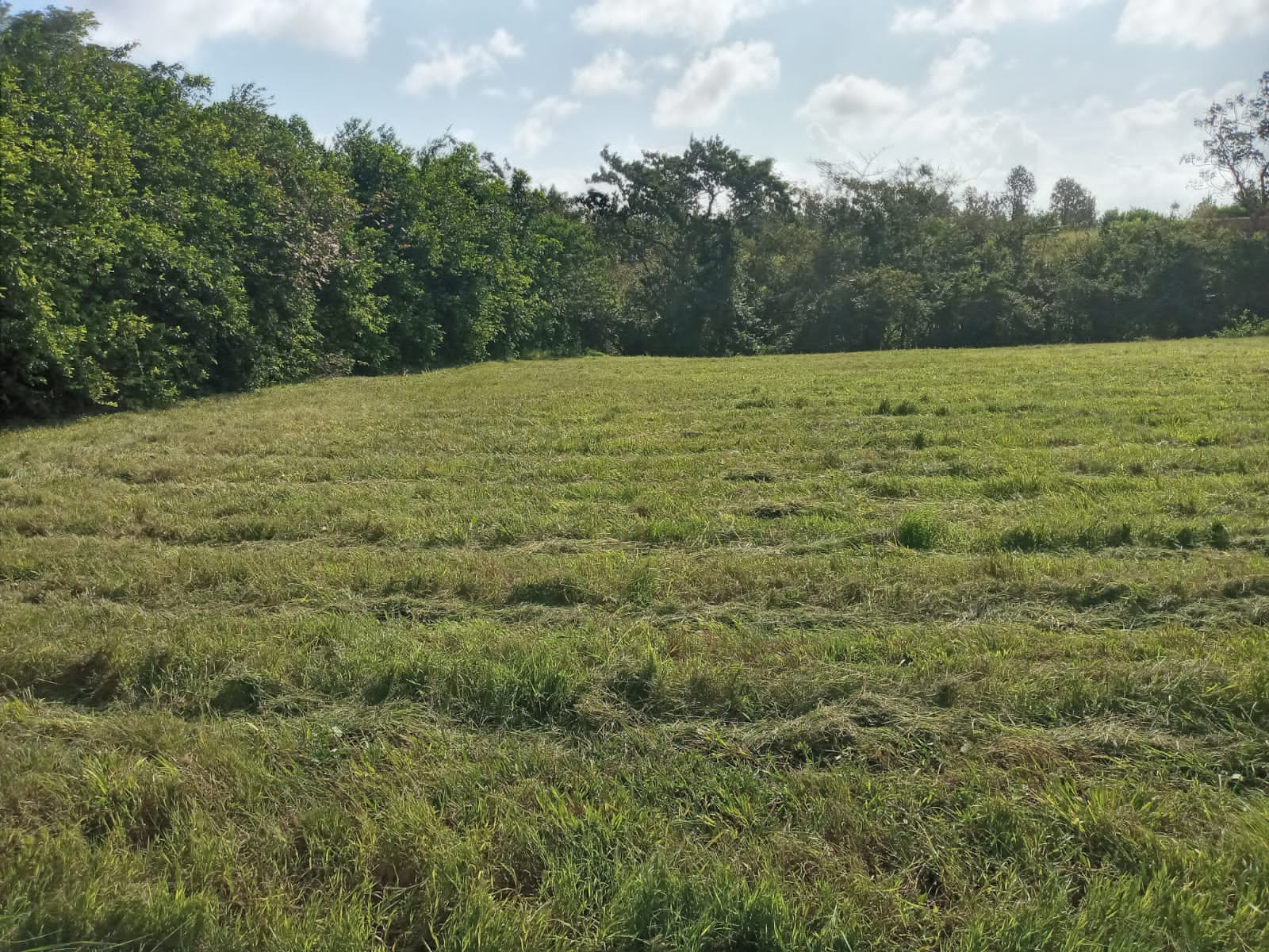 LOS SANTOS, PEDASI, LOTE EN VENTA EN HACIENDA LOS GAVILANES.