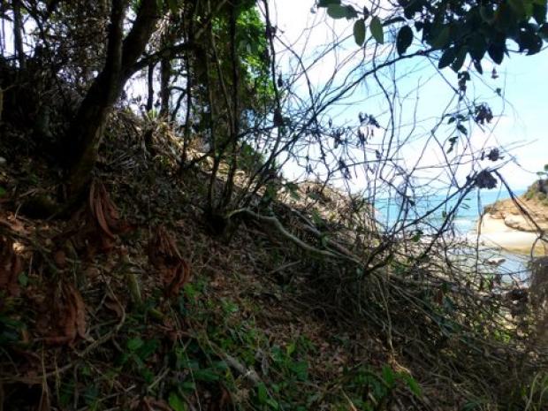 COLON, DONOSO, PROPIEDAD DE PLAYA UBICADA EN QUEBRADA GRANDE, MIGUEL DE LA BORDA.