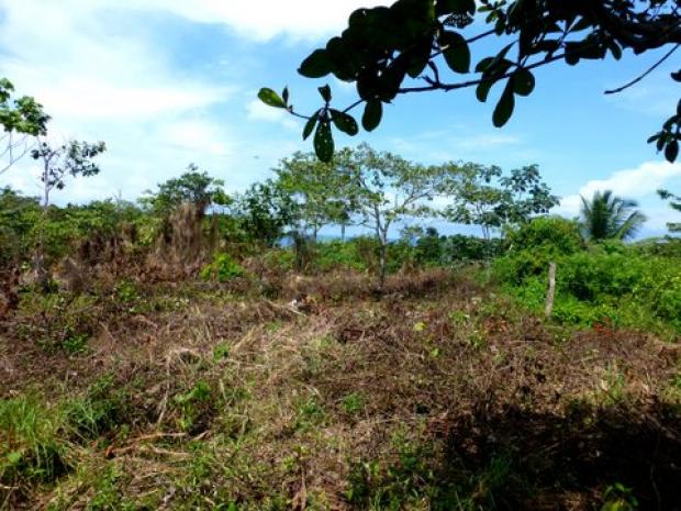 COLON, DONOSO, PROPIEDAD DE PLAYA UBICADA EN QUEBRADA GRANDE, MIGUEL DE LA BORDA.