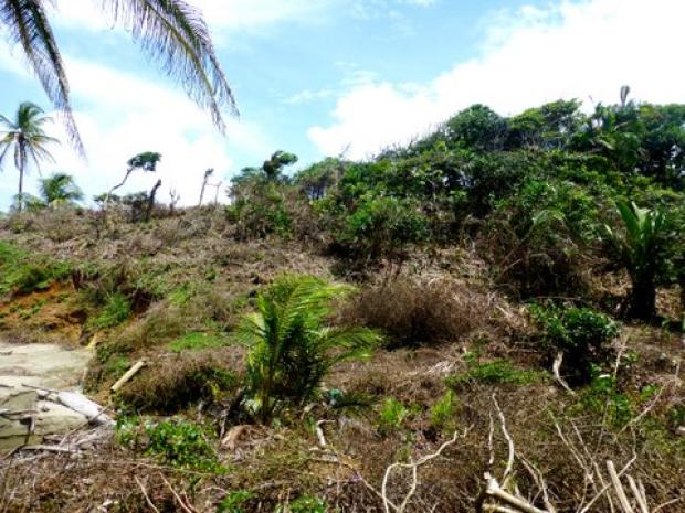 COLON, DONOSO, PROPIEDAD DE PLAYA UBICADA EN QUEBRADA GRANDE, MIGUEL DE LA BORDA.