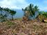 COLON, DONOSO, PROPIEDAD DE PLAYA UBICADA EN QUEBRADA GRANDE, MIGUEL DE LA BORDA.