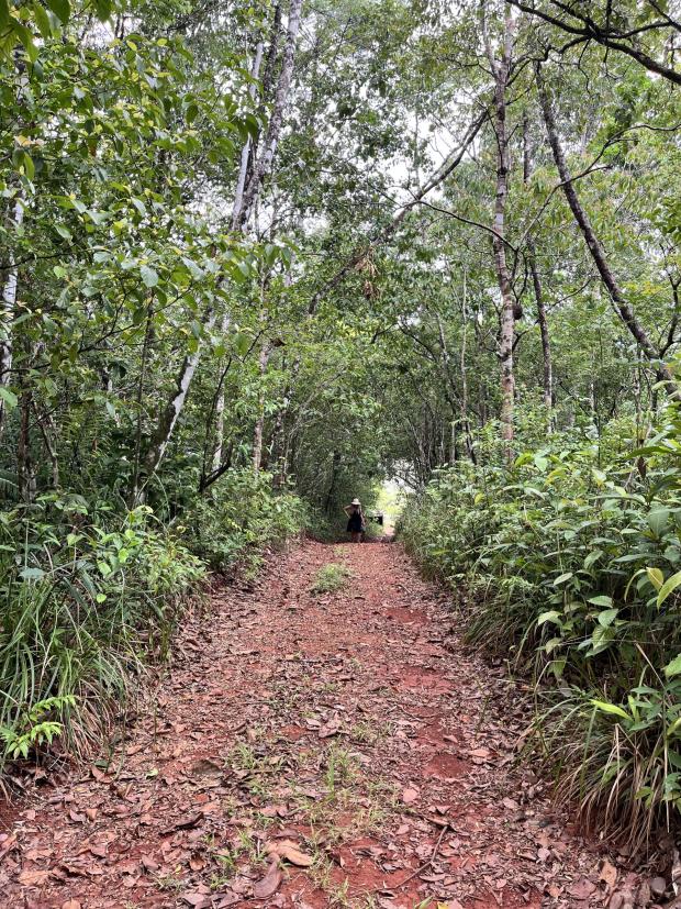 A Beach Front Development Land 48 ha Torio Panama