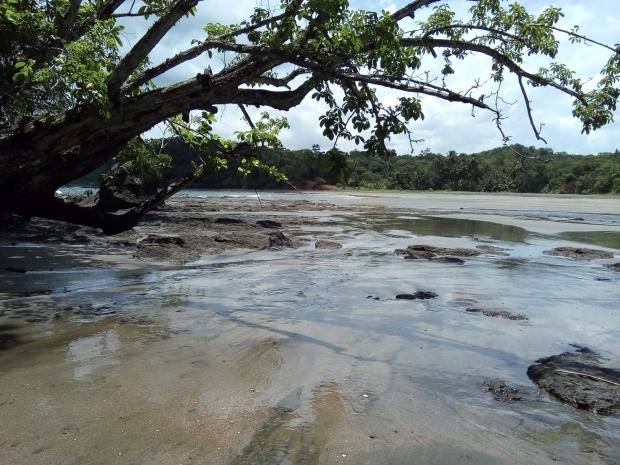 A Beach Front Development Land 48 ha Torio Panama
