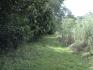 CHIRIQUI, DISTRITO DE DOLEGA, BEAUTIFUL FARM IN THE HIGHLANDS OF POTRERILLOS ARRIBA.