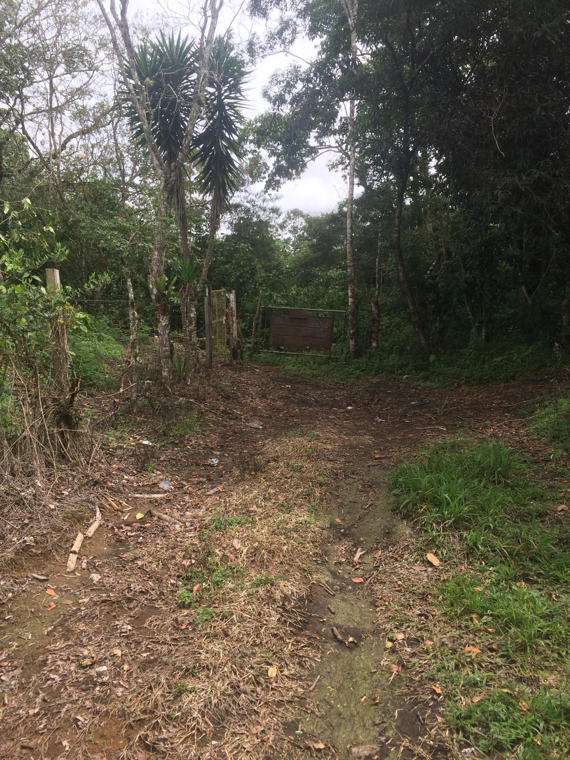 CHIRIQUI, DISTRITO DE DOLEGA, BEAUTIFUL FARM IN THE HIGHLANDS OF POTRERILLOS ARRIBA.