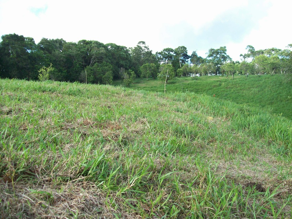 CHIRIQUI, DISTRITO DE DOLEGA, BEAUTIFUL FARM IN THE HIGHLANDS OF POTRERILLOS ARRIBA.