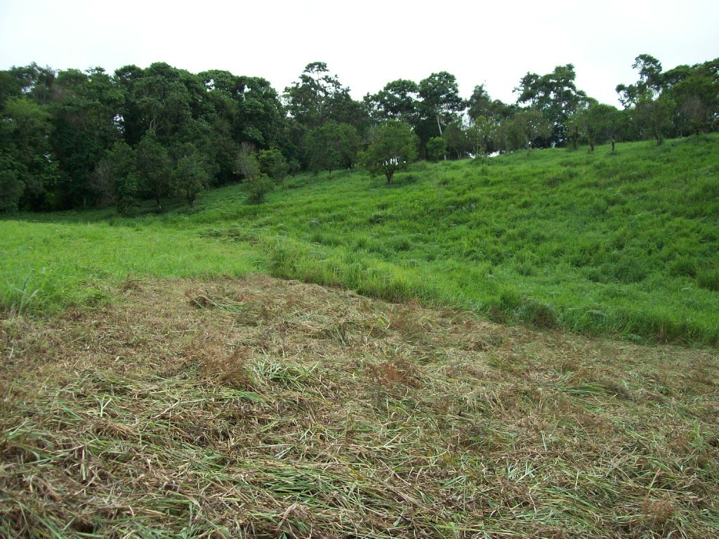 CHIRIQUI, DISTRITO DE DOLEGA, BEAUTIFUL FARM IN THE HIGHLANDS OF POTRERILLOS ARRIBA.