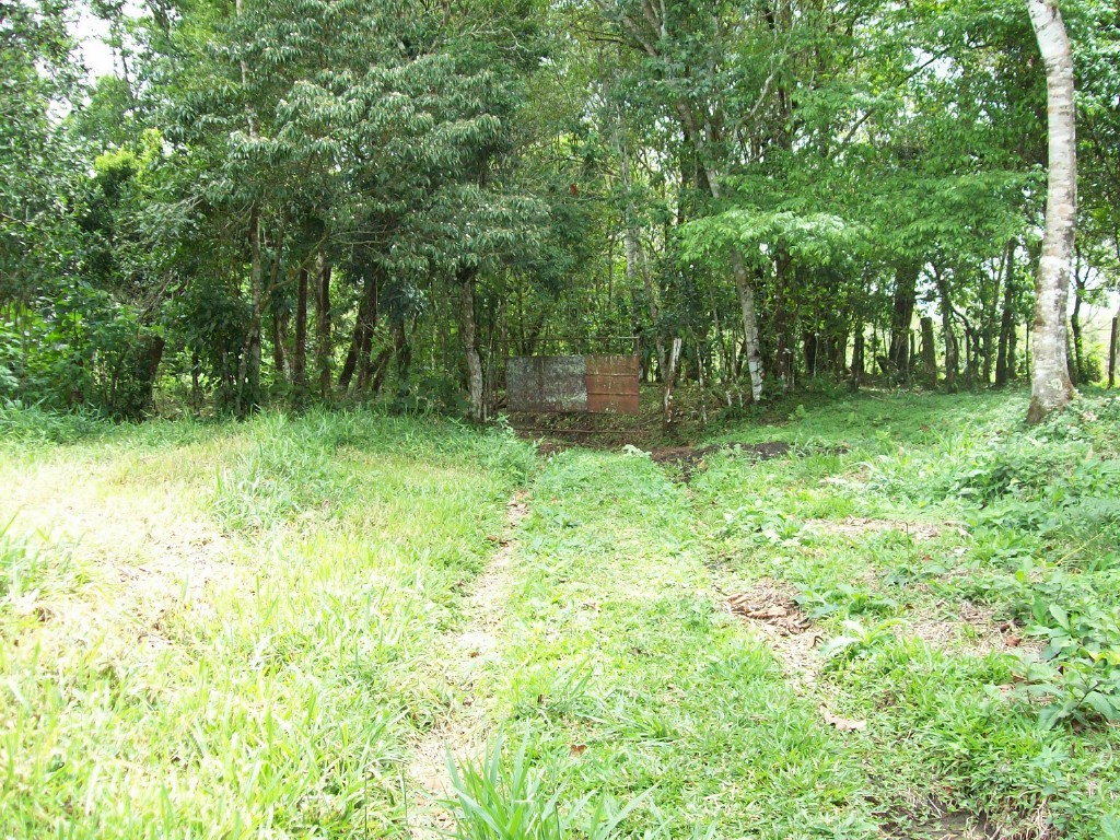 CHIRIQUI, DISTRITO DE DOLEGA, BEAUTIFUL FARM IN THE HIGHLANDS OF POTRERILLOS ARRIBA.