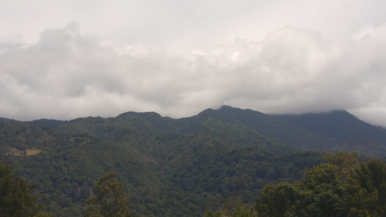 CHIRIQUI, DISTRITO DE TIERRAS ALTAS, LOT WITH MOUNTAIN VIEW IN PASO ANCHO.