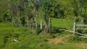 CHIRIQUI, DISTRITO DE BUGABA, OCEAN AND MOUNTAIN VIEW FARM NEAR THE TOWN OF PORTON