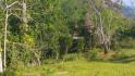 CHIRIQUI, DISTRITO DE BUGABA, OCEAN AND MOUNTAIN VIEW FARM NEAR THE TOWN OF PORTON