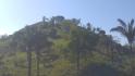 CHIRIQUI, DISTRITO DE BUGABA, OCEAN AND MOUNTAIN VIEW FARM NEAR THE TOWN OF PORTON