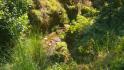 CHIRIQUI, DISTRITO DE BUGABA, OCEAN AND MOUNTAIN VIEW FARM NEAR THE TOWN OF PORTON