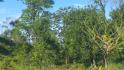 CHIRIQUI, DISTRITO DE BUGABA, OCEAN AND MOUNTAIN VIEW FARM NEAR THE TOWN OF PORTON