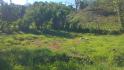 CHIRIQUI, DISTRITO DE BUGABA, OCEAN AND MOUNTAIN VIEW FARM NEAR THE TOWN OF PORTON