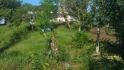 CHIRIQUI, DISTRITO DE BUGABA, OCEAN AND MOUNTAIN VIEW FARM NEAR THE TOWN OF PORTON