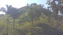 CHIRIQUI, DISTRITO DE BUGABA, OCEAN AND MOUNTAIN VIEW FARM NEAR THE TOWN OF PORTON