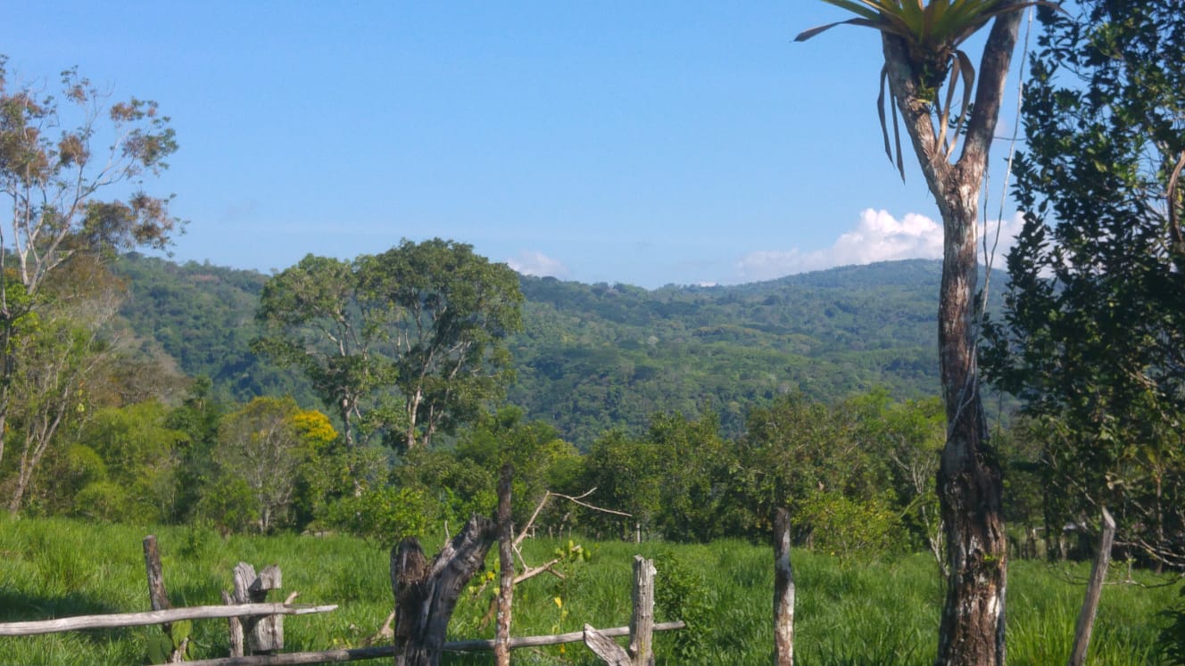 CHIRIQUI, DISTRITO DE BUGABA, OCEAN AND MOUNTAIN VIEW FARM NEAR THE TOWN OF PORTON