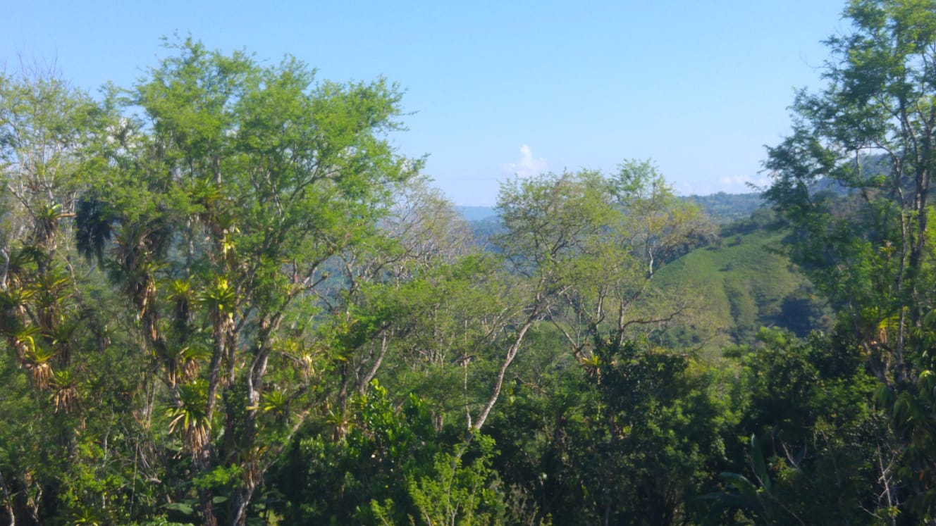 CHIRIQUI, DISTRITO DE BUGABA, OCEAN AND MOUNTAIN VIEW FARM NEAR THE TOWN OF PORTON