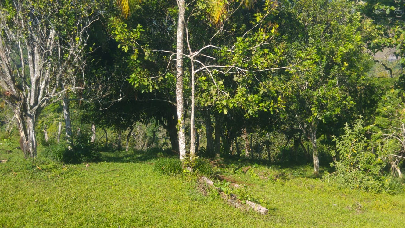 CHIRIQUI, DISTRITO DE BUGABA, OCEAN AND MOUNTAIN VIEW FARM NEAR THE TOWN OF PORTON