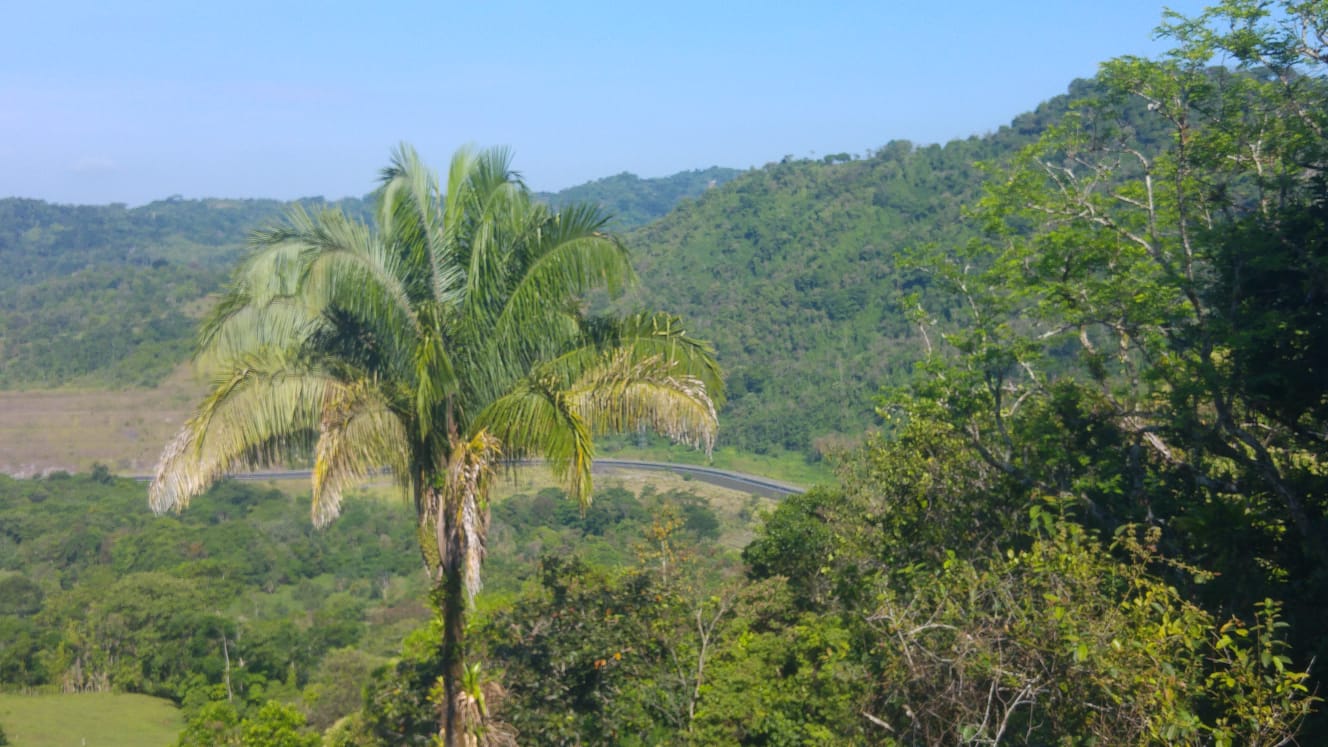 CHIRIQUI, DISTRITO DE BUGABA, OCEAN AND MOUNTAIN VIEW FARM NEAR THE TOWN OF PORTON