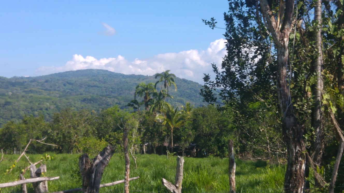 CHIRIQUI, DISTRITO DE BUGABA, OCEAN AND MOUNTAIN VIEW FARM NEAR THE TOWN OF PORTON