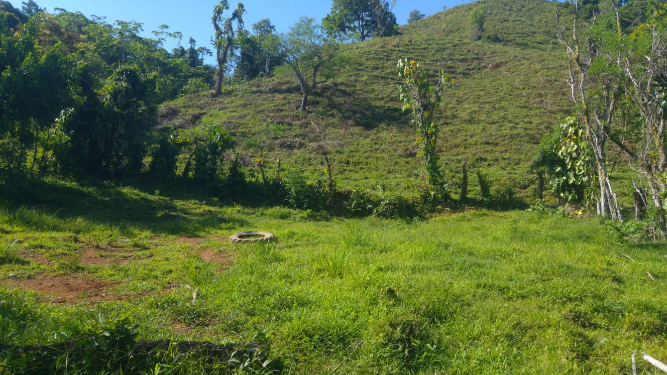 CHIRIQUI, DISTRITO DE BUGABA, OCEAN AND MOUNTAIN VIEW FARM NEAR THE TOWN OF PORTON