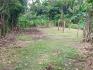 CHIRIQUI, BOQUERON, SMALL FARM LOCATED IN THE VICINITY OF LAS HUACAS.