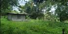 CHIRIQUI, BOQUERON, SMALL FARM LOCATED IN THE VICINITY OF LAS HUACAS.