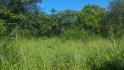 CHIRIQUI, BOQUERON, SMALL FARM LOCATED IN THE VICINITY OF LAS HUACAS.