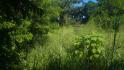 CHIRIQUI, BOQUERON, SMALL FARM LOCATED IN THE VICINITY OF LAS HUACAS.