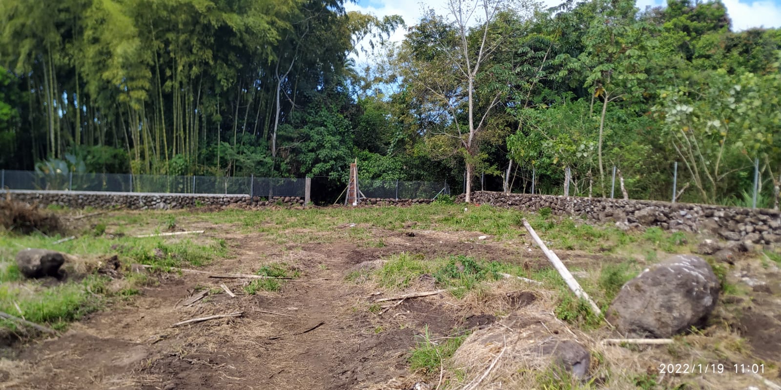 CHIRIQUI, BOQUERON, SMALL FARM LOCATED IN THE VICINITY OF LAS HUACAS.