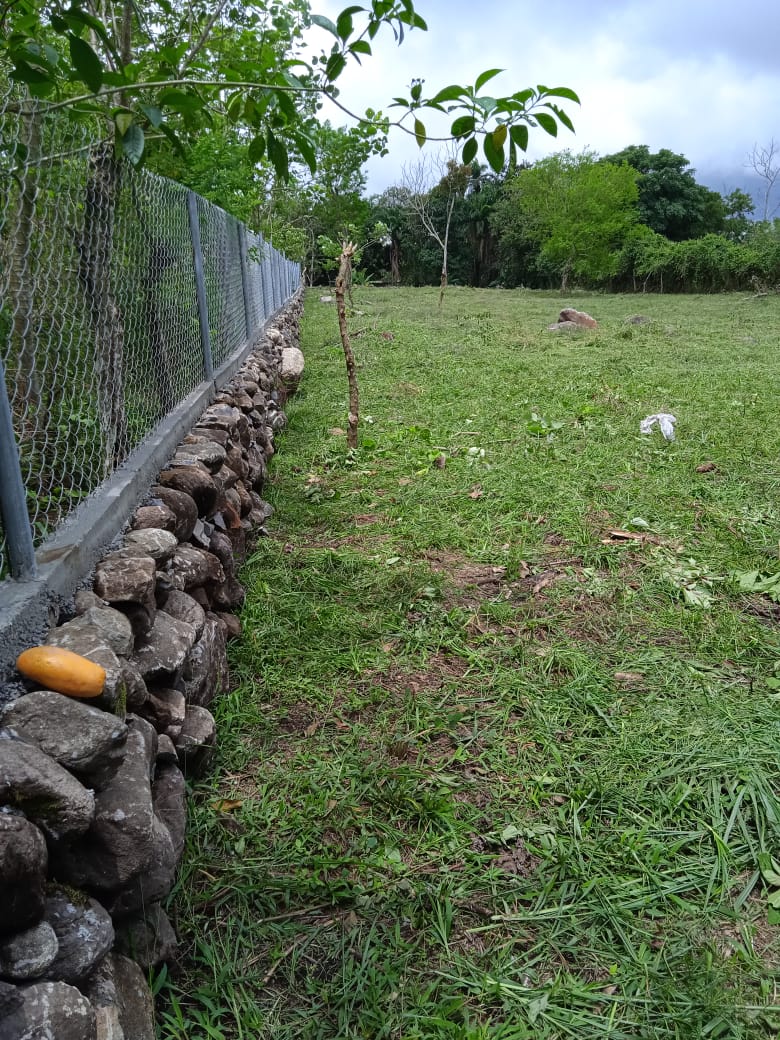 CHIRIQUI, BOQUERON, SMALL FARM LOCATED IN THE VICINITY OF LAS HUACAS.