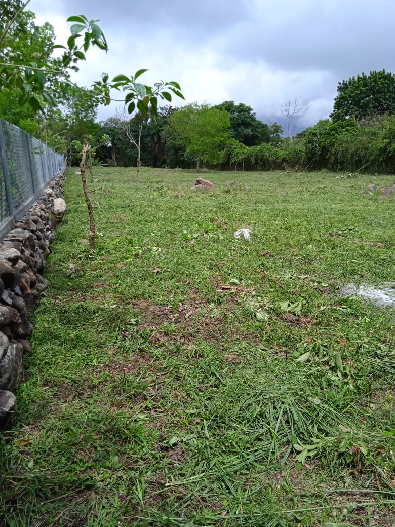 CHIRIQUI, BOQUERON, SMALL FARM LOCATED IN THE VICINITY OF LAS HUACAS.