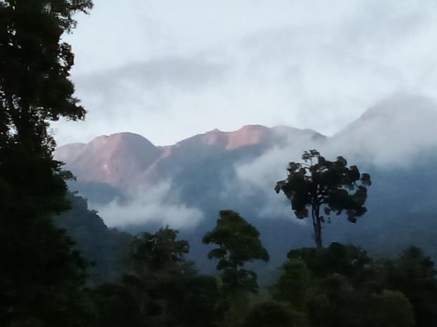 CHIRIQUI, BOQUERON, PROPIEDAD UBICADA EN PALMIRA DEL BANCO, CORREGIMIENTO DE MACANO.
