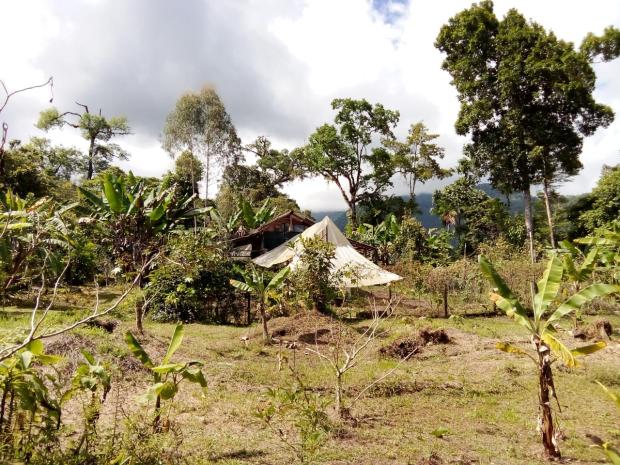 CHIRIQUI, BOQUERON, PROPIEDAD UBICADA EN PALMIRA DEL BANCO, CORREGIMIENTO DE MACANO.