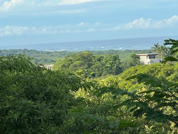 560m2 lot for sale in Tamarindo