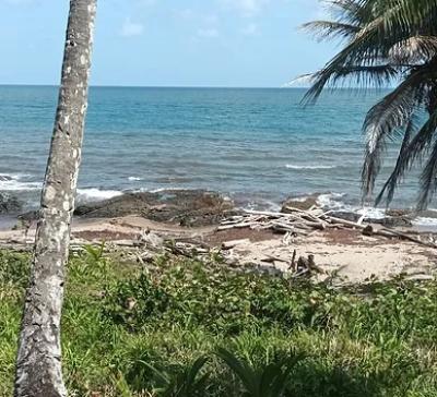 1%20Hectare%20Rainforest%20Beach%20Property%20with%20100%20Meters%20of%20Sandy%20Beachfront