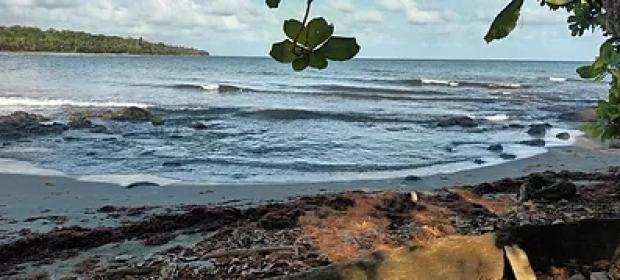 1 Hectare Rainforest Beach Property with 100 Meters of Sandy Beachfront