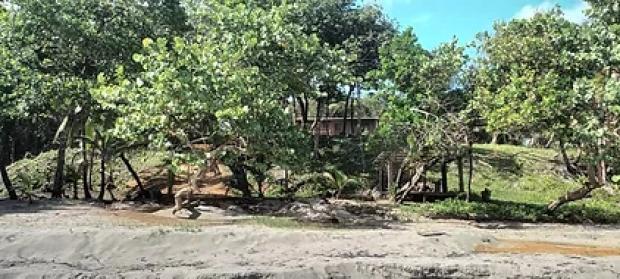 5 Hectares Rainforest Property with 83 Meters of Sandy Beachfront