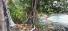 43 Hectares Rainforest Property with 60 Meters of Sandy Caribbean Beachfront