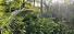 43 Hectares Rainforest Property with 60 Meters of Sandy Caribbean Beachfront
